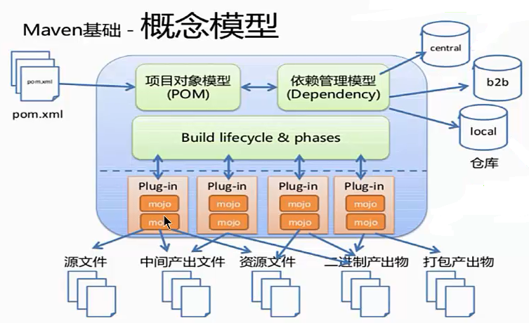 Maven概念模型